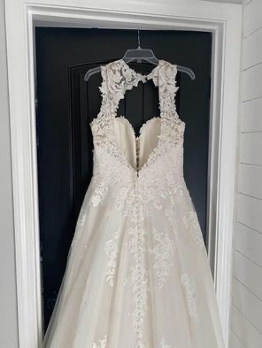 Justin alexander Eleanor Borrowing Magnolia