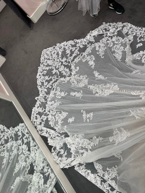 Allure couture - C622 size 8 - $2000 - (43% OFF)