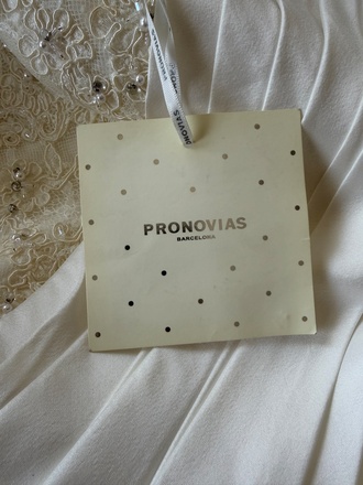 Pronovias - Palamos size 12 - $1350 - (41% OFF)
