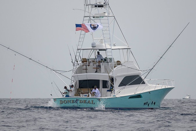 2006 VIKING