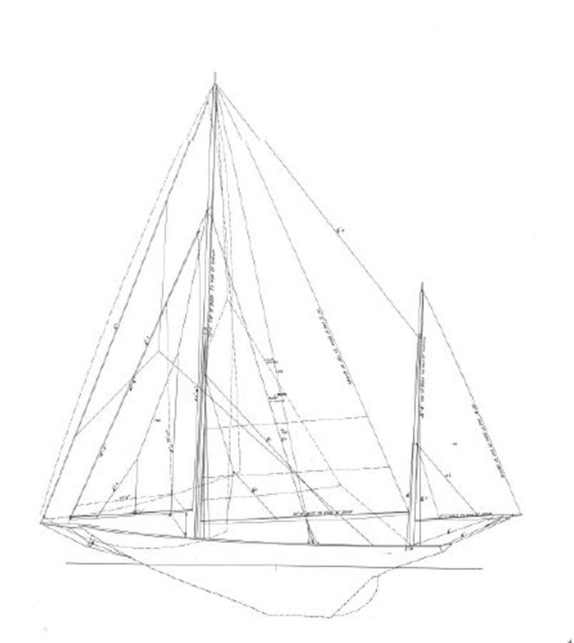 RUGOSA - image 17