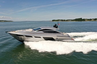 SILVER FOX  311465