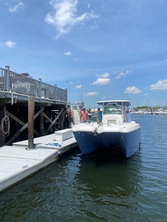 Photo of WORLD CAT - 32'