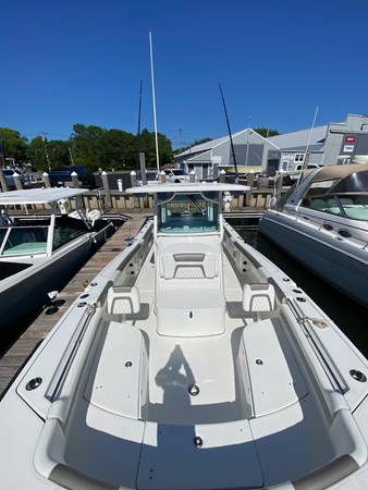 Photo of WORLD CAT - 32'