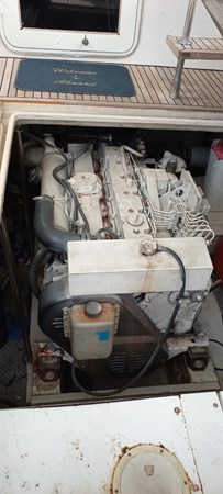 Photo of MIKELSON - 43'