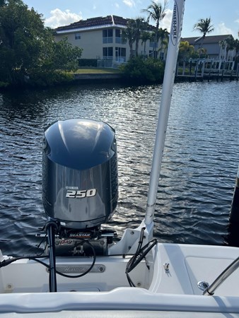 Photo of HURRICANE . 23'