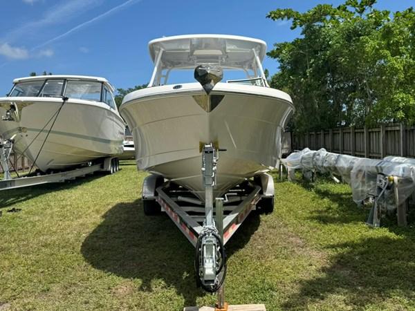 Photo of ROBALO - 24'