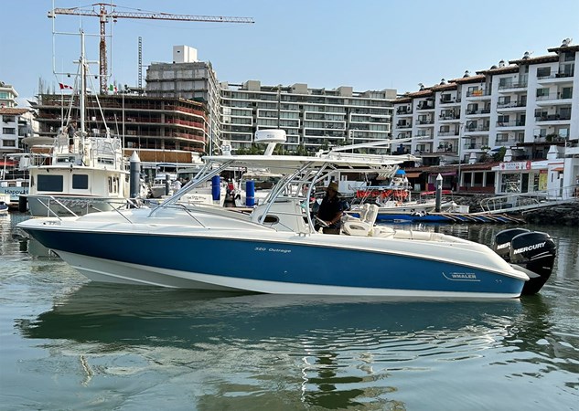 2009 BOSTON WHALER 320 OUTRAGE CUDDY CABIN @ PUERTO VALLARTA 412026