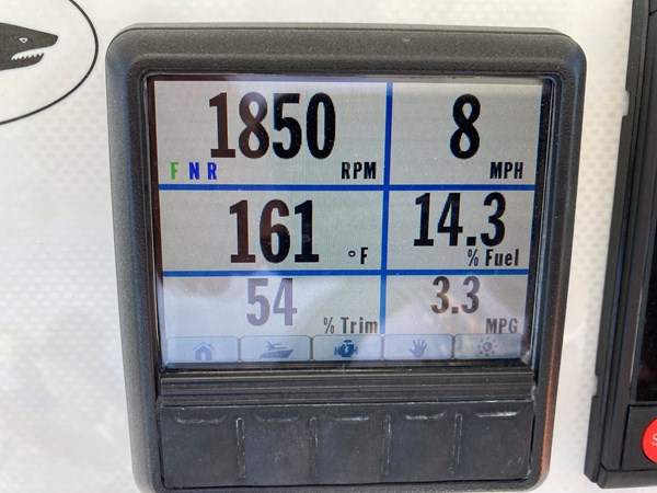 Photo of DUSKY - 25'