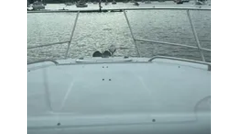 Photo of FOUR WINNS 2006 Four Winns 348 Vista 36' 7