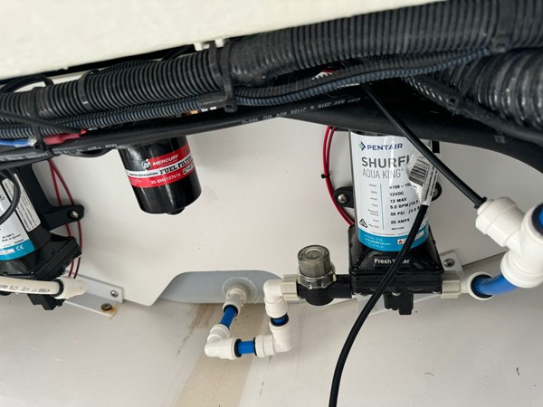 Photo of EVERGLADES - 25' 3