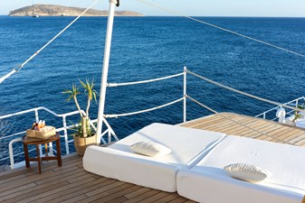 CUSTOM 1988 HAYAMA Vessel #417482 - Photo 20240825_Hayama_02_Decks_PM_0006 5