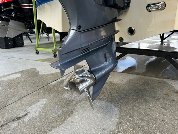 Photo of CHAPARRAL - 24' 10