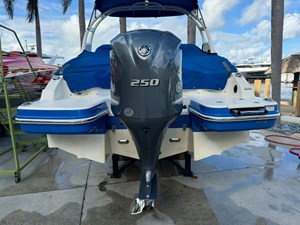 2017 CHAPARRAL 250 Suncoast - photo 4