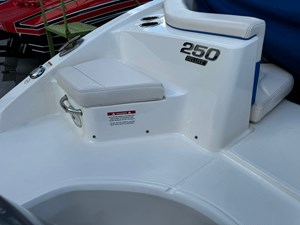 2017 CHAPARRAL 250 Suncoast - photo 22