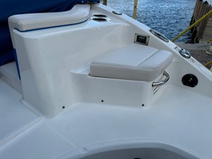 2017 CHAPARRAL 250 Suncoast - photo 23