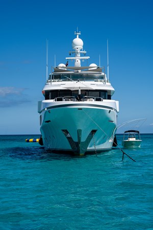 Photo of CHRISTENSEN MISSING LINK 142'