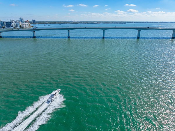 Photo of FOUNTAIN Aloan At Last  32'