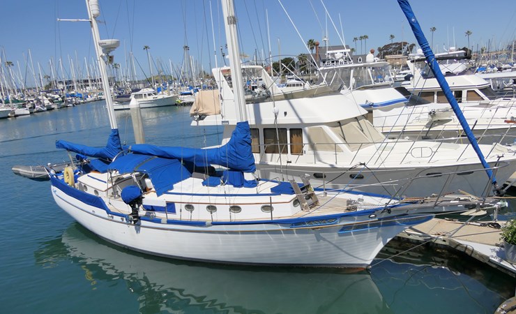 ZANYA 444360