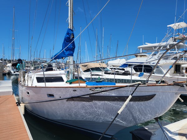 HARMONY @ SEA 446712