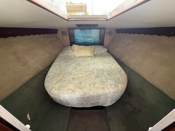 Photo of CUSTOM Caribbean Express 42'