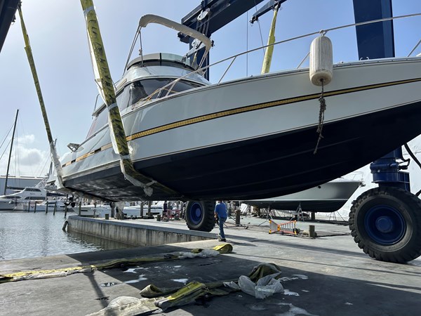 Photo of CUSTOM Caribbean Express 42'