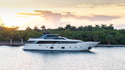 SOFI VI 447567
