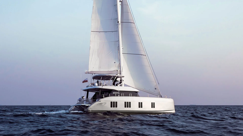 DOLPHIN 449989
