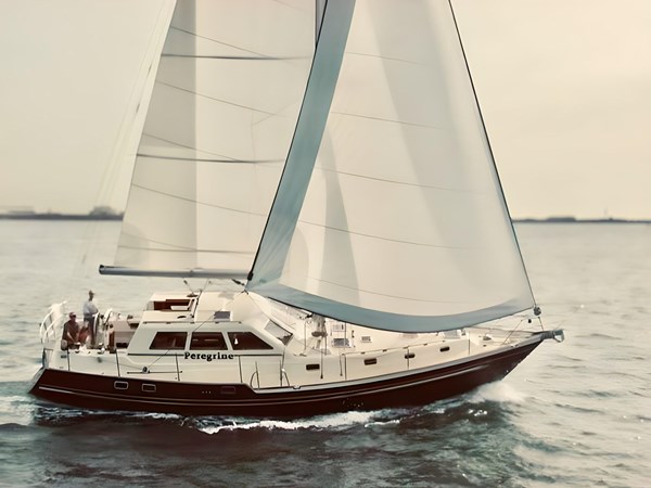 PEREGRINE 454171