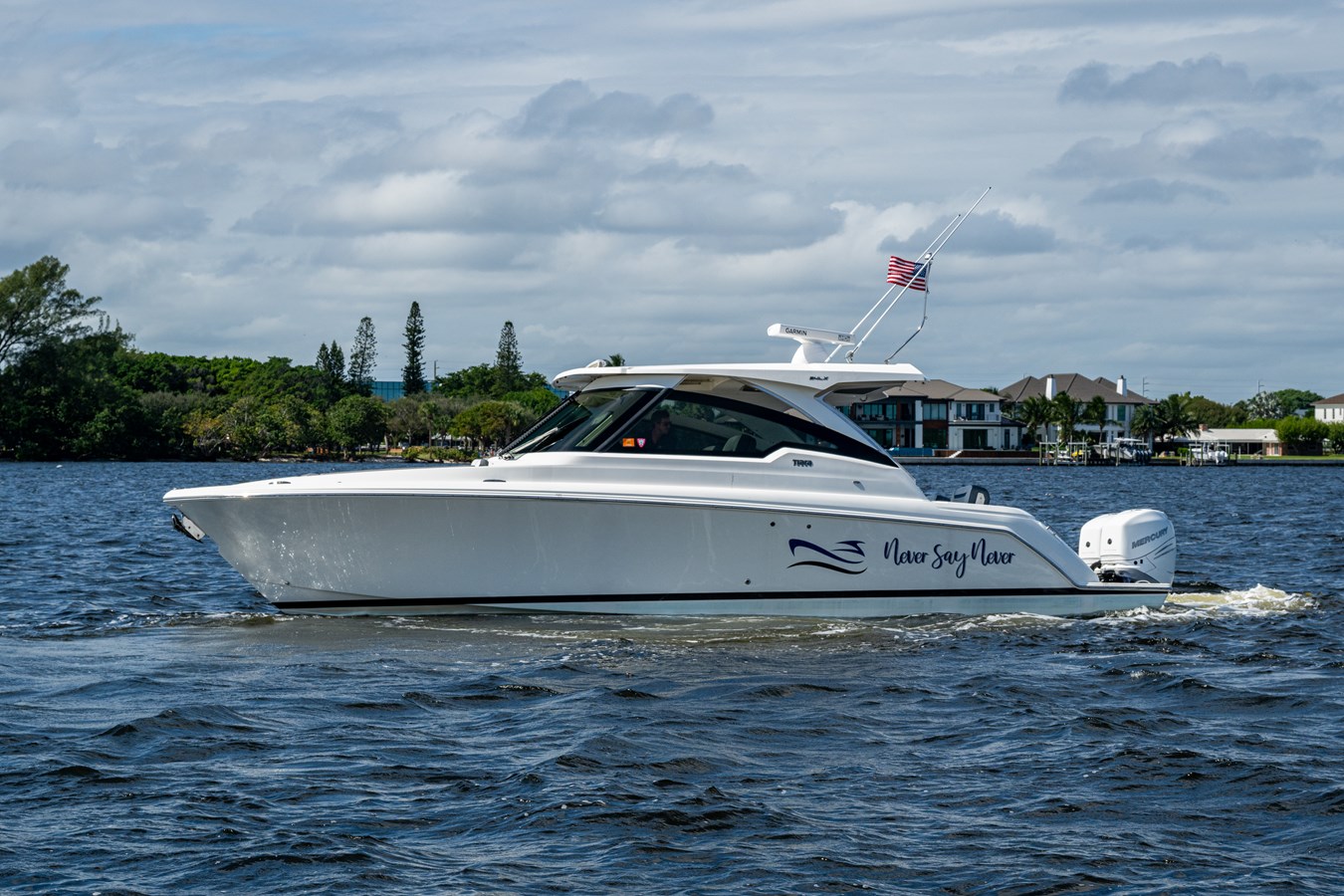 NEVER SAY NEVER 456579