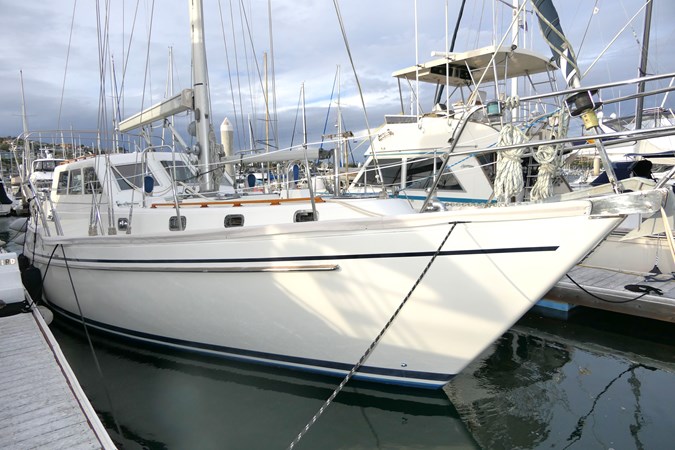 SUN BIRD 456858