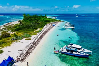 OUT OF THE BLUE 456936