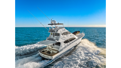 FIRTH'S CHASM 457443