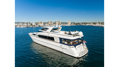 2002 DESTINY 104 Raised Pilothouse - photo 9