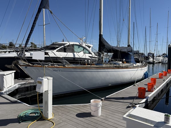 ZYKANTHOS 458036