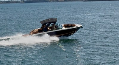 CHAPARRAL 458151