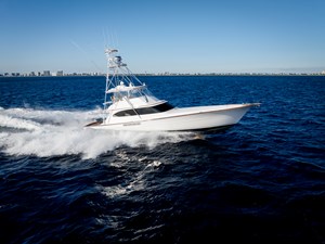 NEVER SAY NEVER 458513