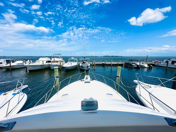 Photo of OCEAN YACHTS 42 ft 1995 Ocean Yachts 42 sportsfish 42' 1