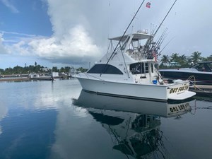 42 FT 1995 OCEAN YACHTS 42 SPORTSFISH 458566