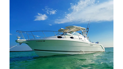 2005 WELLCRAFT 290 COASTAL