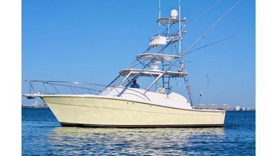 2006 TOPAZ EXPRESS CRUISER