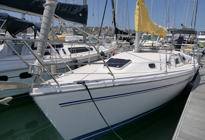 THE BAYGULL II 458720