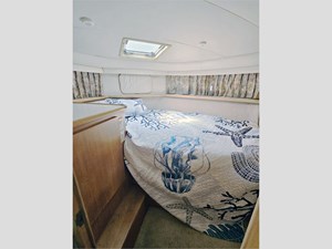 1995 CARVER  - photo 62