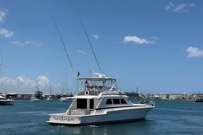 Photo of BERTRAM Taniamar 60'
