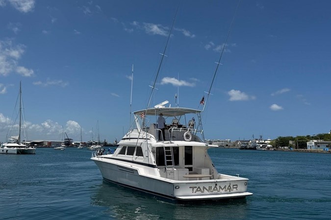 Photo of BERTRAM Taniamar 60'