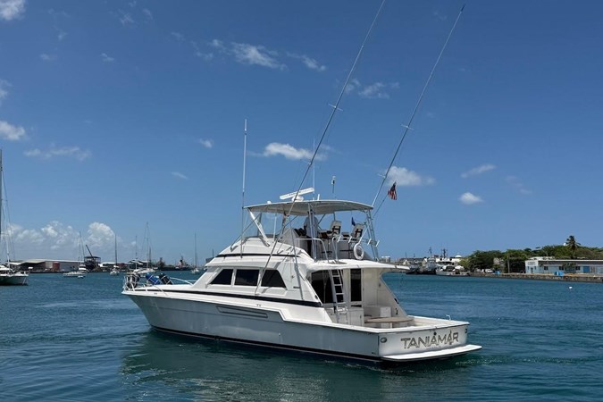 Photo of BERTRAM Taniamar 60'