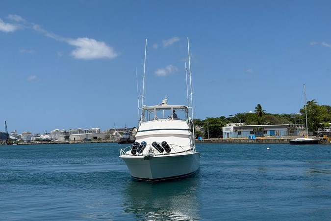 Photo of BERTRAM Taniamar 60'