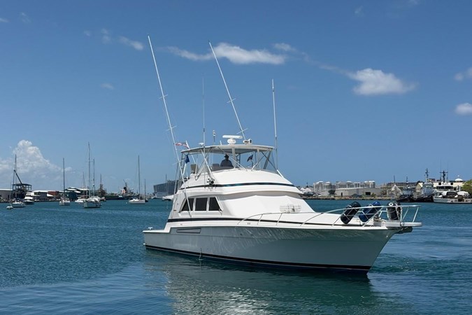 Photo of BERTRAM Taniamar 60'