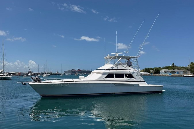 Photo of BERTRAM Taniamar 60'