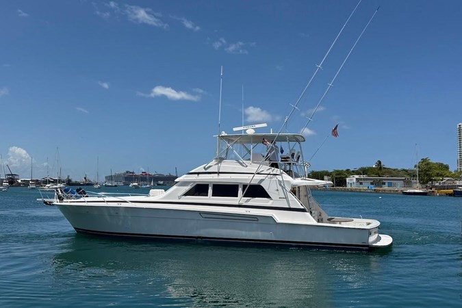 Photo of BERTRAM Taniamar 60'
